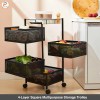 DIVI HOME NEEDS| Fruit Trolley 4-Step Square